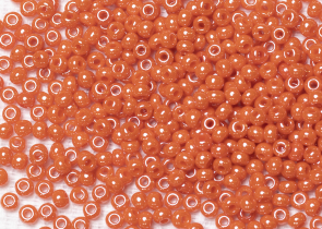 Бисер Чехия круглый 10/0 500 г 93141